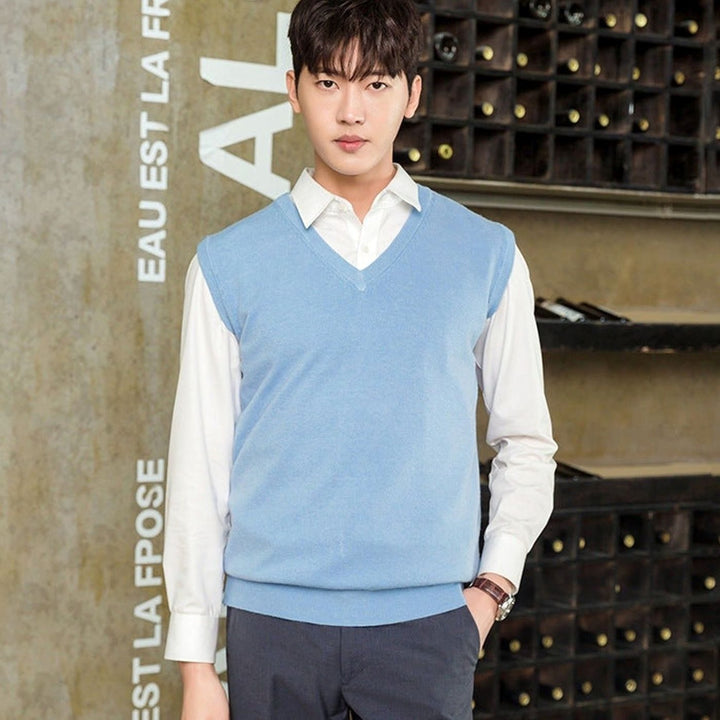 Men's Fine Knit V-Neck Sweater Vest Regular Fit Cotton Blend