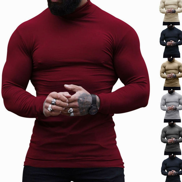 Men's Slim Fit Fine Knit Turtleneck Long Sleeve Sweater