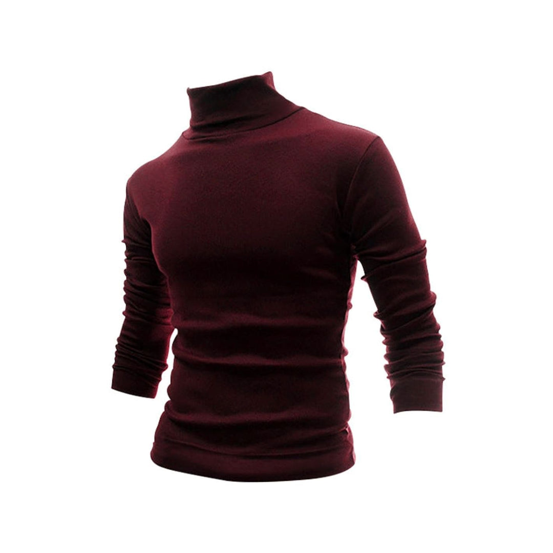 Men's Slim Fit Fine Knit Turtleneck Long Sleeve Sweater - Wine Red