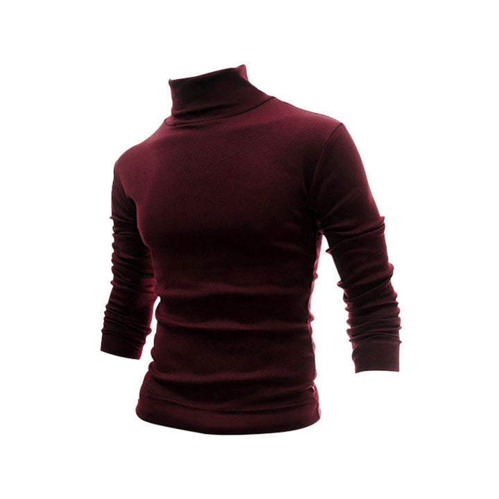 Men's Slim Fit Fine Knit Turtleneck Long Sleeve Sweater - Wine Red