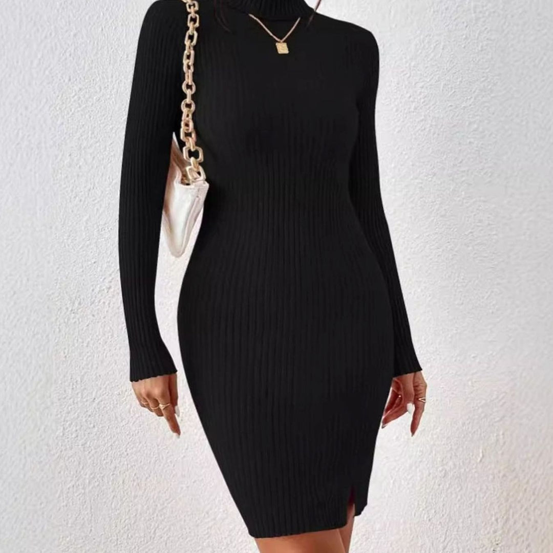 Women's Ribbed Turtleneck Long Sleeve Bodycon Sweater Dress, Black